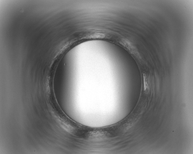X0000063470300200601231451