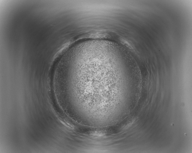 X0000063470303200601231451