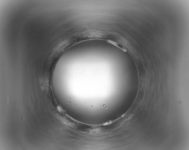 X0000063470309200601231451