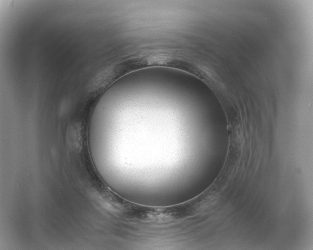 X0000063470311200601231451