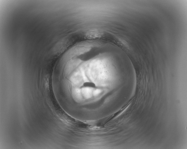 X0000063470315200601231451