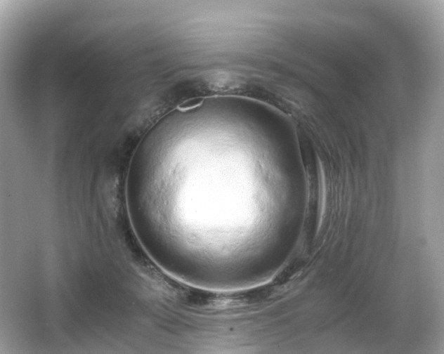 X0000063470319200601231451