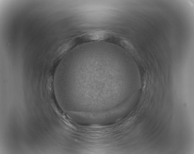 X0000063470325200601231451