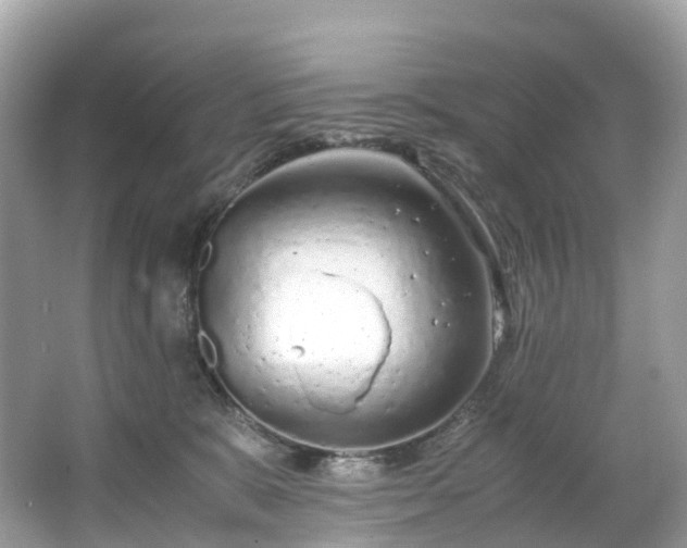 X0000063470327200601231451