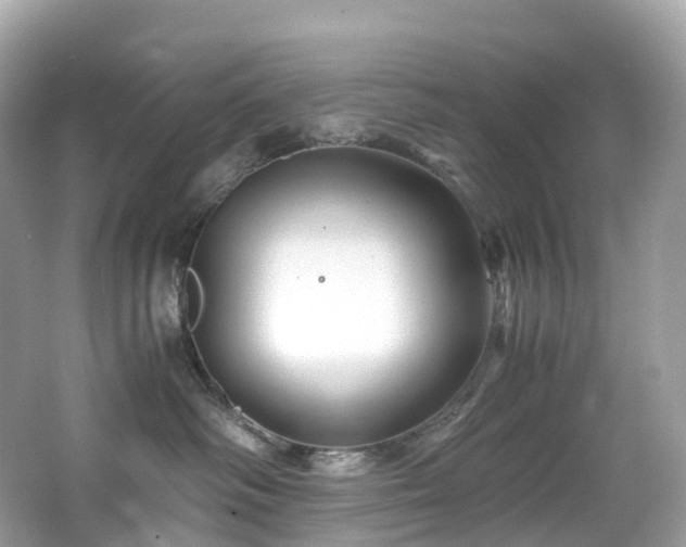 X0000063470334200601231451
