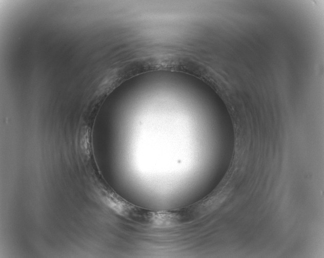 X0000063470336200601231451