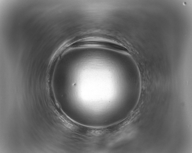 X0000063470341200601231450