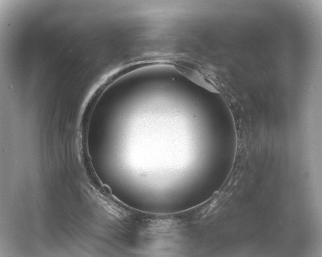 X0000063470342200601231450