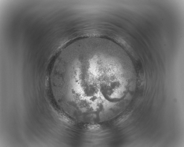 X0000063470355200601231450