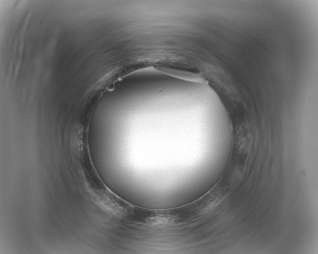 X0000063470356200601231450