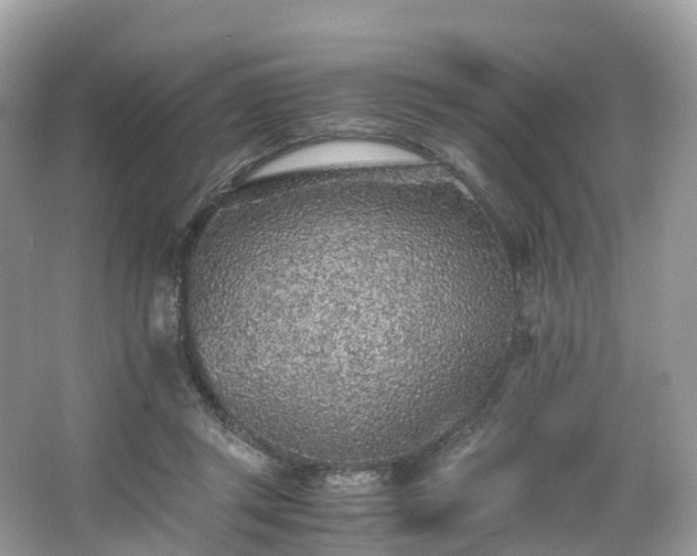 X0000063470357200601231450