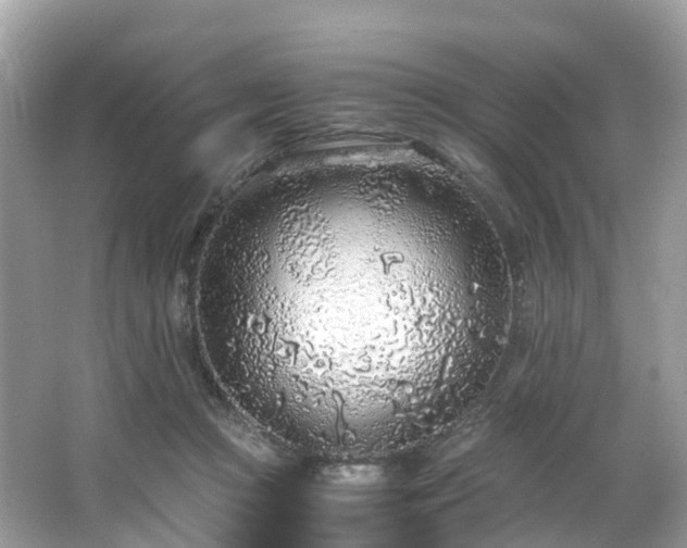 X0000063470361200601231450