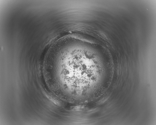 X0000063470366200601231450