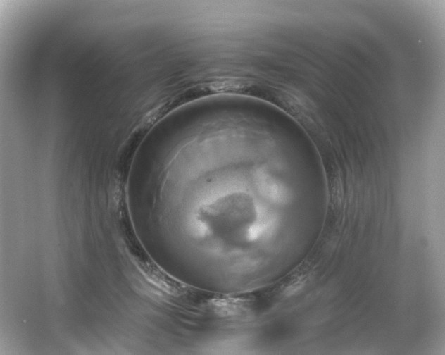 X0000063470367200601231450