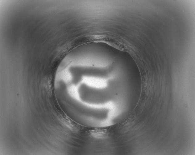 X0000063470373200601231451