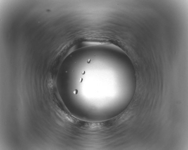 X0000063470384200601231451