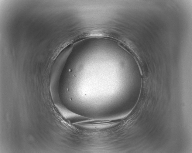 X0000063470385200601231450