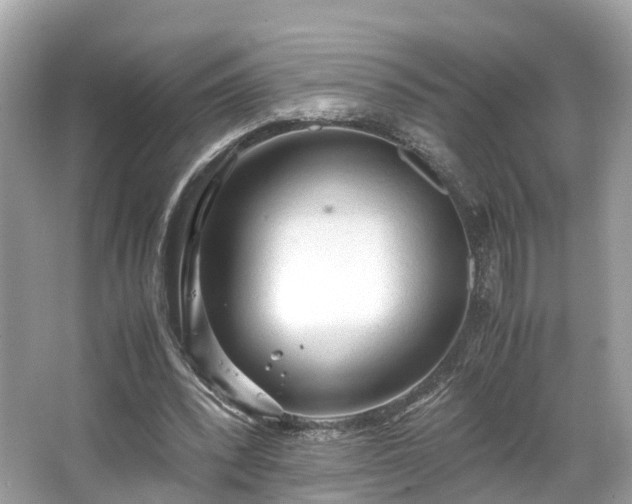 X0000063470392200601231450