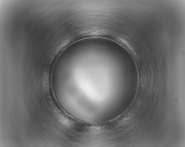 X0000063470394200601231450