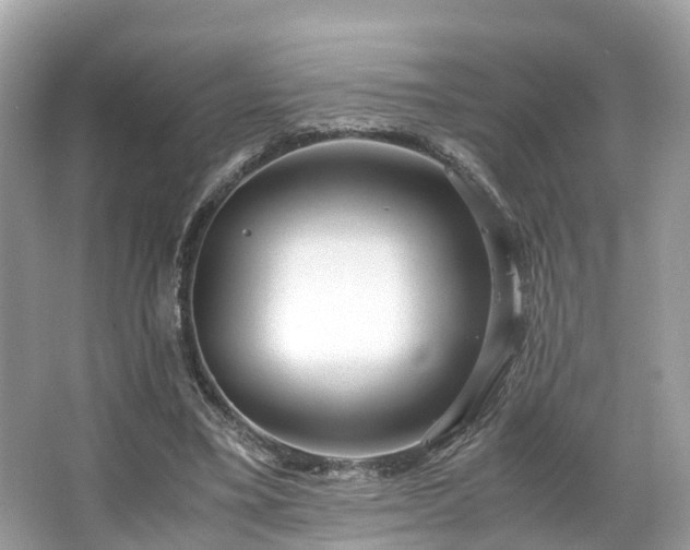 X0000063470395200601231450