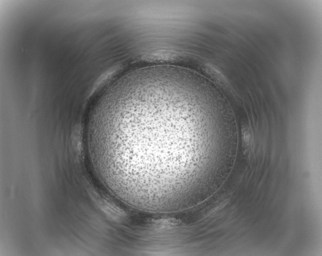 X0000063470396200601231450