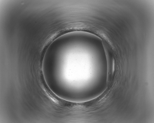 X0000063470397200601231450