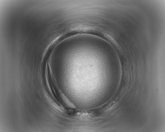 X0000063470399200601231450