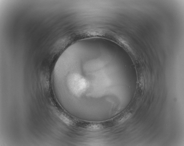 X0000063470402200601231450