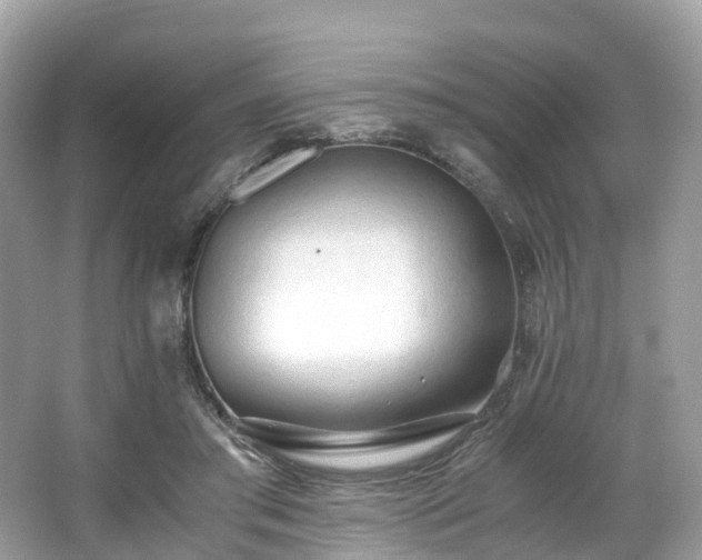 X0000063470405200601231450