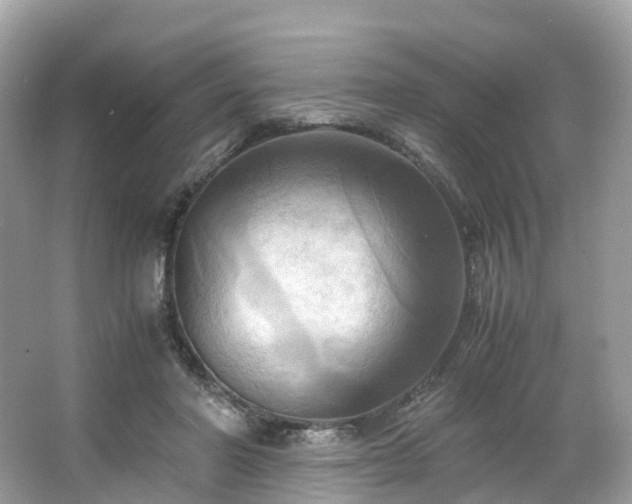 X0000063470406200601231450