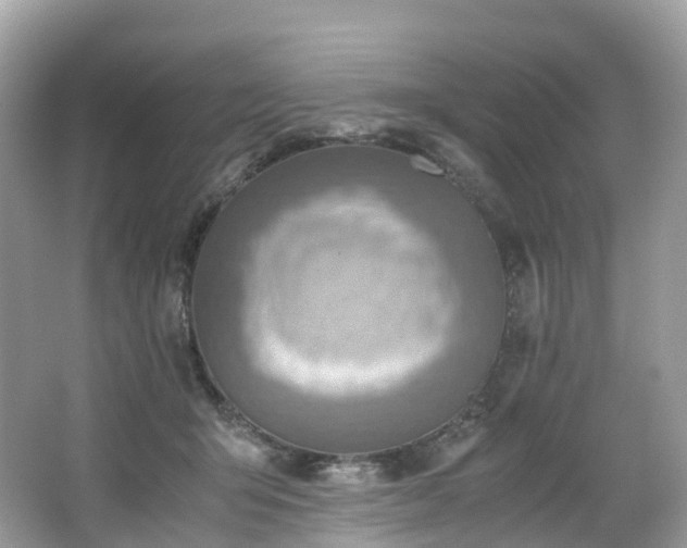 X0000063470415200601231449