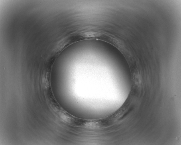 X0000063470422200601231449