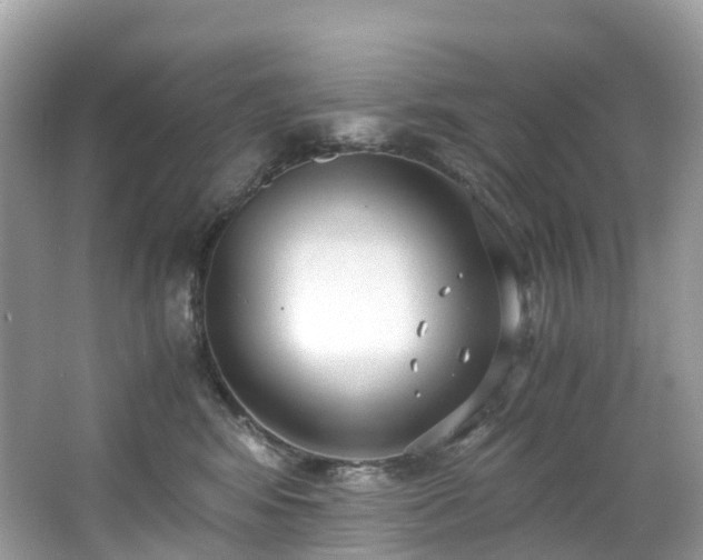 X0000063470424200601231449