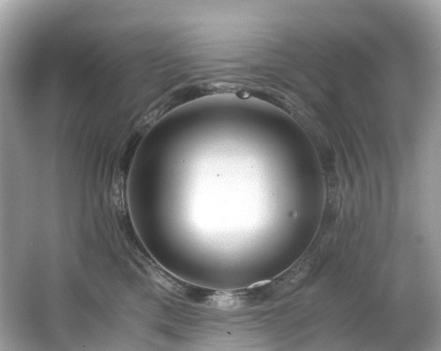 X0000063470425200601231449