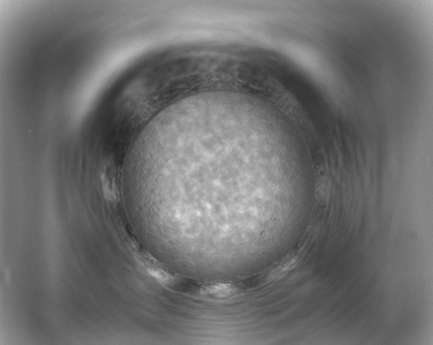X0000063470431200601231449
