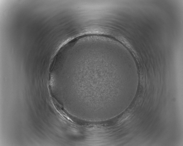 X0000063470434200601231448
