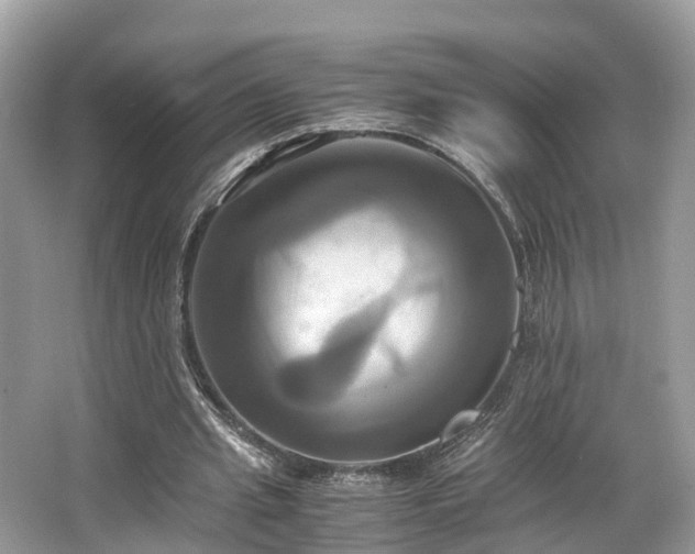 X0000063470437200601231448