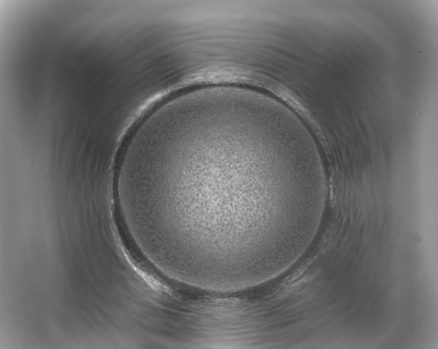 X0000063470438200601231448