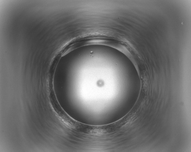 X0000063470444200601231449