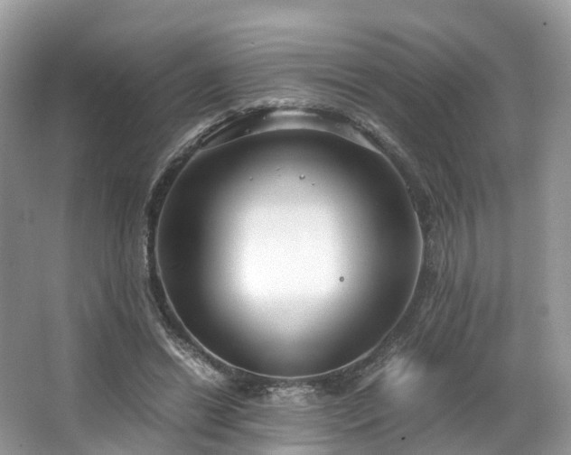 X0000063470446200601231449
