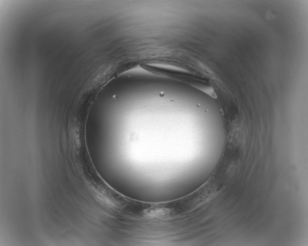 X0000063470452200601231449