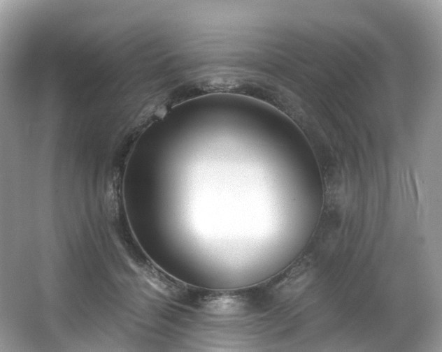 X0000063470460200601231449