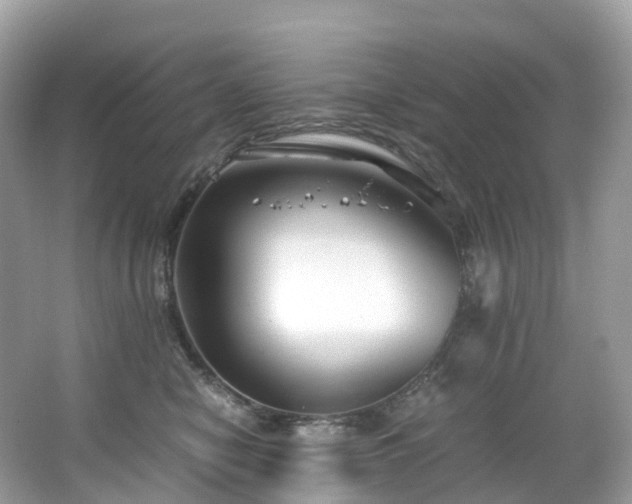 X0000063470470200601231449