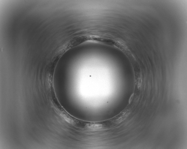 X0000063470476200601231449