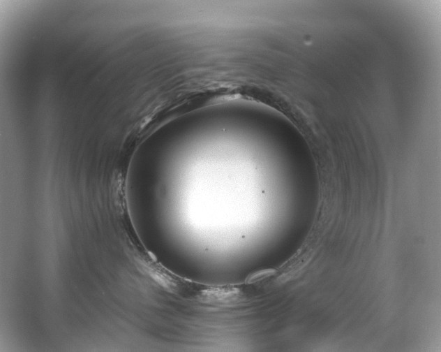 X0000063470480200601231449