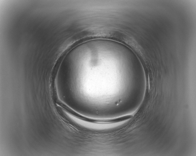 X0000063470483200601231448