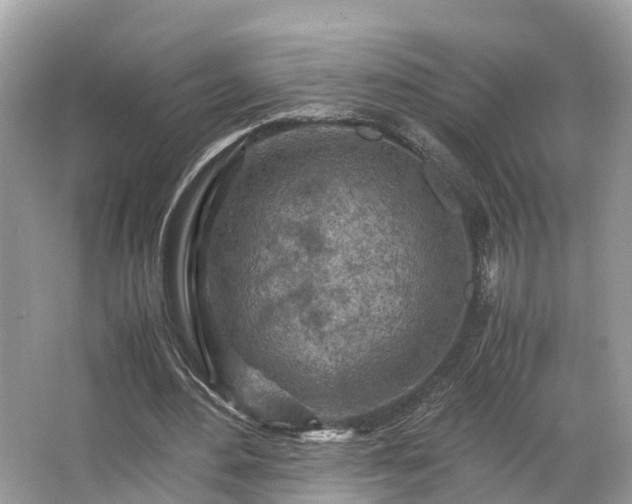 X0000063470484200601231448