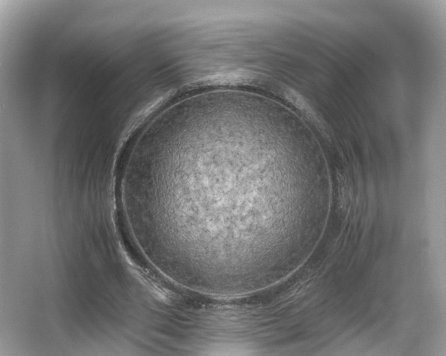 X0000063470486200601231448