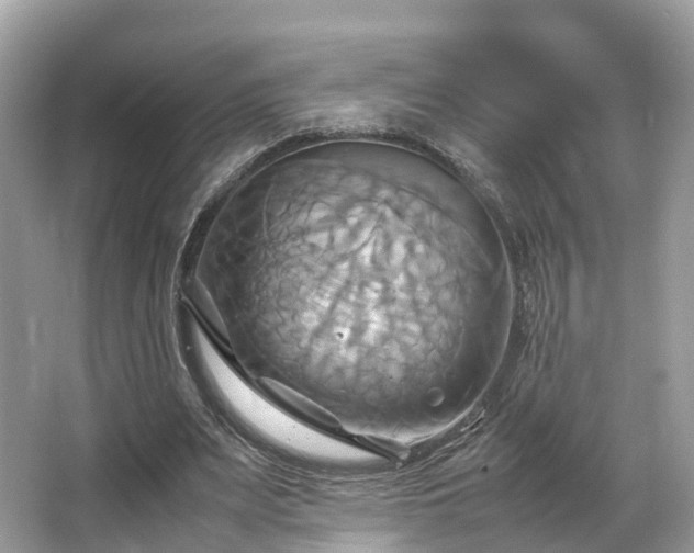 X0000063470487200601231448