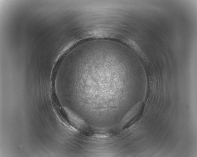 X0000063470488200601231448